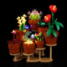 Load image into Gallery viewer, Lego Tiny Plants 10329 Light Kit