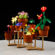Load image into Gallery viewer, Lego Tiny Plants 10329 Light Kit