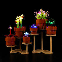 Load image into Gallery viewer, Lego Tiny Plants 10329 Light Kit