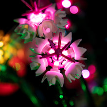 Load image into Gallery viewer, Lego Pretty Pink Flower Bouquet 10342 Light Kit