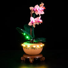 Load image into Gallery viewer, Lego Mini Orchid 10343 Light Kit