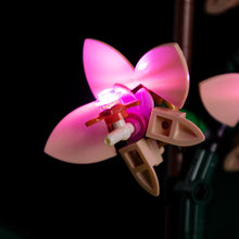Load image into Gallery viewer, Lego Mini Orchid 10343 Light Kit