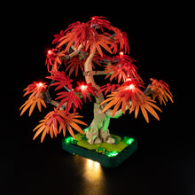 Load image into Gallery viewer, Lego Japanese Red Maple Bonsai Tree 10348 Light Kit