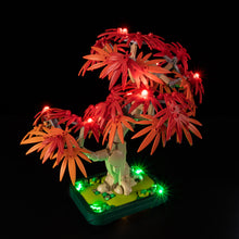 Load image into Gallery viewer, Lego Japanese Red Maple Bonsai Tree 10348 Light Kit