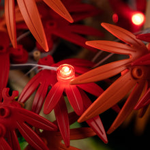 Load image into Gallery viewer, Lego Japanese Red Maple Bonsai Tree 10348 Light Kit