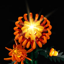 Load image into Gallery viewer, Lego Chrysanthemum 10368 Light Kit
