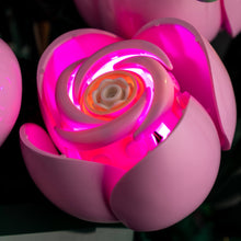 Load image into Gallery viewer, Lego Bouquet of Pink Roses 10374 Light Kit