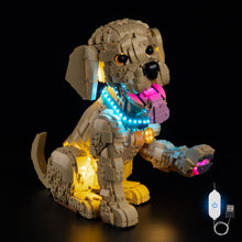 Load image into Gallery viewer, Lego Golden Retriever Puppy 11384 Light Kit