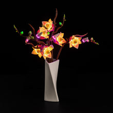 Load image into Gallery viewer, Lego Magnolia Branches 11510 Light Kit