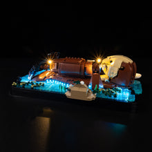 Load image into Gallery viewer, Lego Floating Sea Otters 21366 Light Kit
