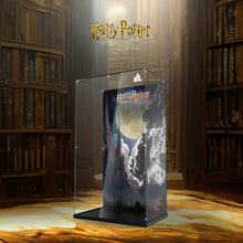 Load image into Gallery viewer, Lego 76417 Gringotts Wizarding Bank – Collectors' Edition Display Case - BrickFans