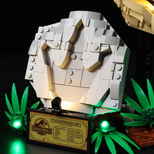 Load image into Gallery viewer, Lego Dinosaur Fossils T. rex Skull 76964 Light Kit