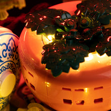 Load image into Gallery viewer, Lego Good Fortune 80117 Light Kit