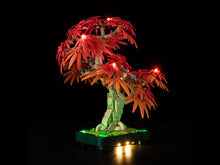 Load and play video in Gallery viewer, Lego Japanese Red Maple Bonsai Tree 10348 Light Kit