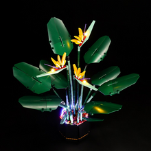Load image into Gallery viewer, Lego Bird of Paradise 10289 Light Kit - BrickFans