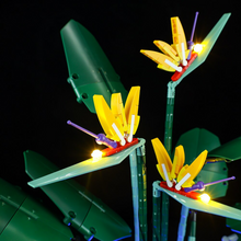 Load image into Gallery viewer, Lego Bird of Paradise 10289 Light Kit - BrickFans