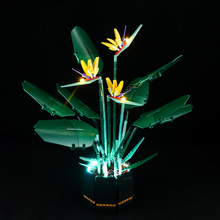 Load image into Gallery viewer, Lego Bird of Paradise 10289 Light Kit - BrickFans