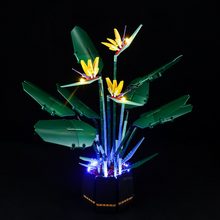 Load image into Gallery viewer, Lego Bird of Paradise 10289 Light Kit - BrickFans