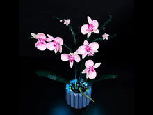 Load and play video in Gallery viewer, Lego Orchid 10311 Light Kit