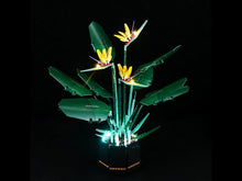 Load and play video in Gallery viewer, Lego Bird of Paradise 10289 Light Kit