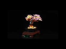 Load and play video in Gallery viewer, Lego Bonsai Tree 10281 Light Kit