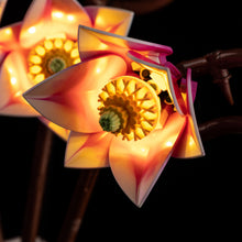 Load image into Gallery viewer, Lego Magnolia Branches 11510 Light Kit

