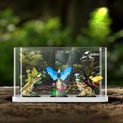 Lego 21342 The Insect Collection Display Case - BrickFans
