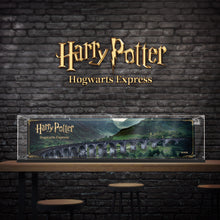 Load image into Gallery viewer, Lego 76405 Hogwarts Express Display Case - Double-sided painting

