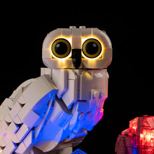 Load image into Gallery viewer, Lego Sorcerer's Stone – Collectors' Edition 76466 Light Kit

