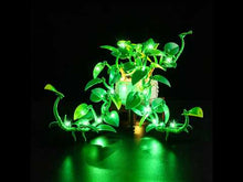 Load and play video in Gallery viewer, Lego Hanging Golden Pothos 11512 Light Kit
