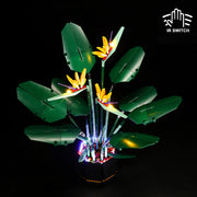 Lego Bird of Paradise 10289 Light Kit - BrickFans
