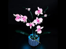 Load and play video in Gallery viewer, Lego Orchid 10311 Light Kit

