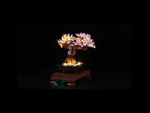 Load and play video in Gallery viewer, Lego Bonsai Tree 10281 Light Kit
